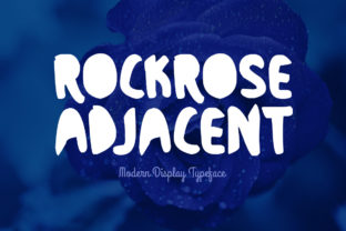 Rockrose Adjacent: A Bold Display Font for Web Design
