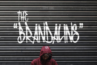 Unleash Creativity with The Brandalins Display Font